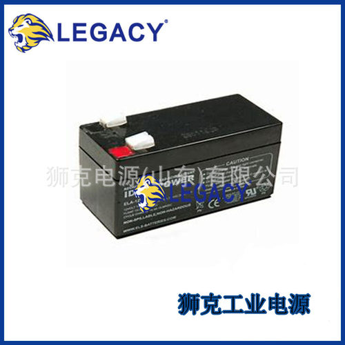 加拿大IDEALPOWER蓄电池ELA-12V-34AH仪器阀控式免维护电瓶