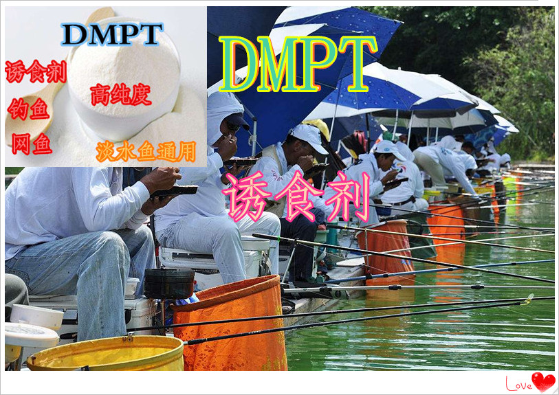 包邮DMPT强效促食信息素诱食剂小药添加剂鲫鲤草鱼饵鱼咬石头50g