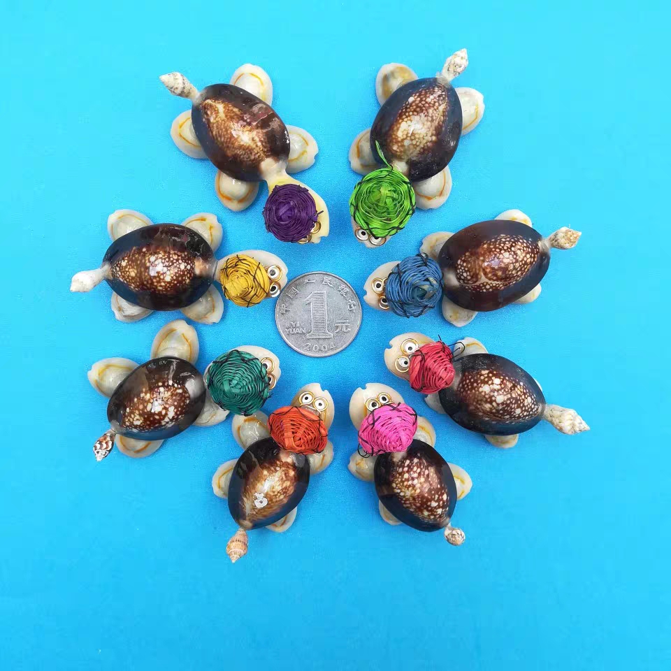 新品火爆热销海螺天然带帽子创意小乌龟贝壳工艺品乌龟满额包邮