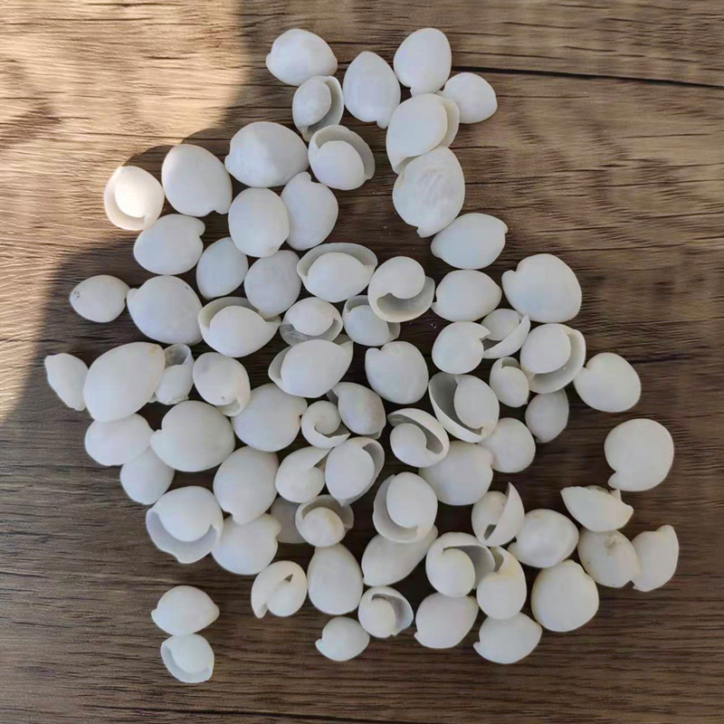 包邮天然称斤小海螺贝壳卷贝鱼寄居蟹壳DIY手工材料装饰鱼缸地台