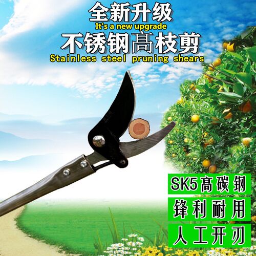 修枝剪刀高空长杆2米家用强力