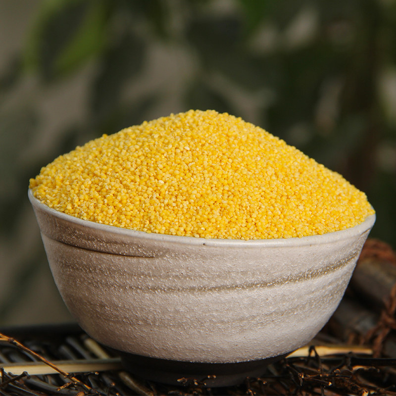 河南小苍娃小米粗粮小米400g*5袋装