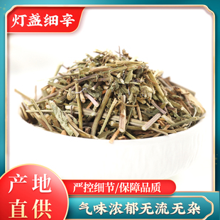 灯盏细辛中药材500g克正品 新鲜无琉花灯盏草川芎红花泡茶水煲汤喝