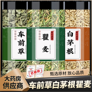车前草白茅根瞿麦中药材正品茅草根甜草根瞿麦茶新货袋泡茶煮水喝