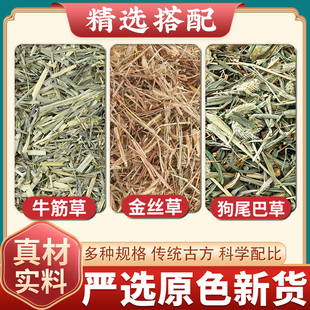 牛筋草金丝草狗尾巴草中药材正品煮水喝功效作用新鲜狗尾巴草干花