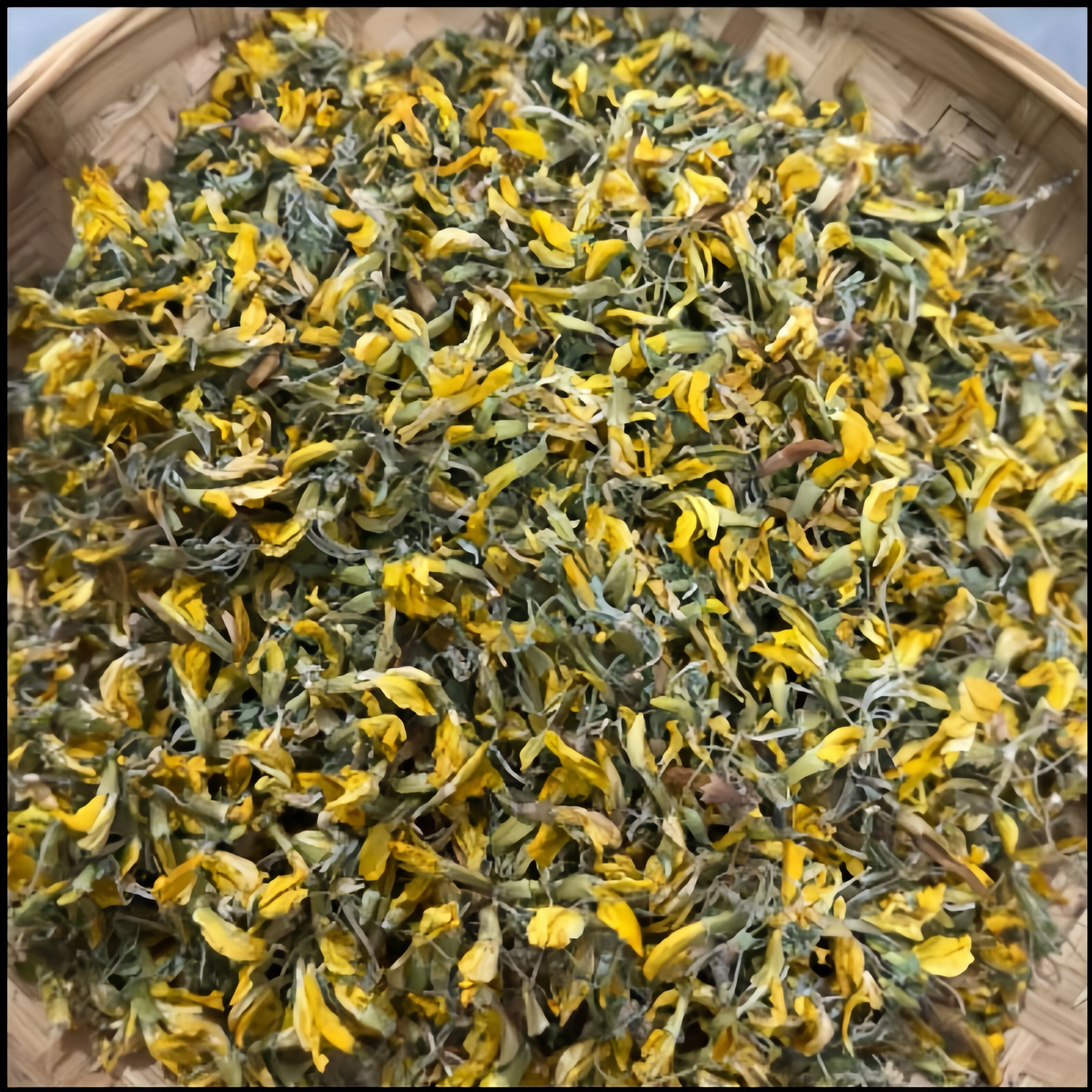 金雀花正品金鹊花道地特产阳雀花锦鸡儿花黄棘金雀根甄选新鲜干货