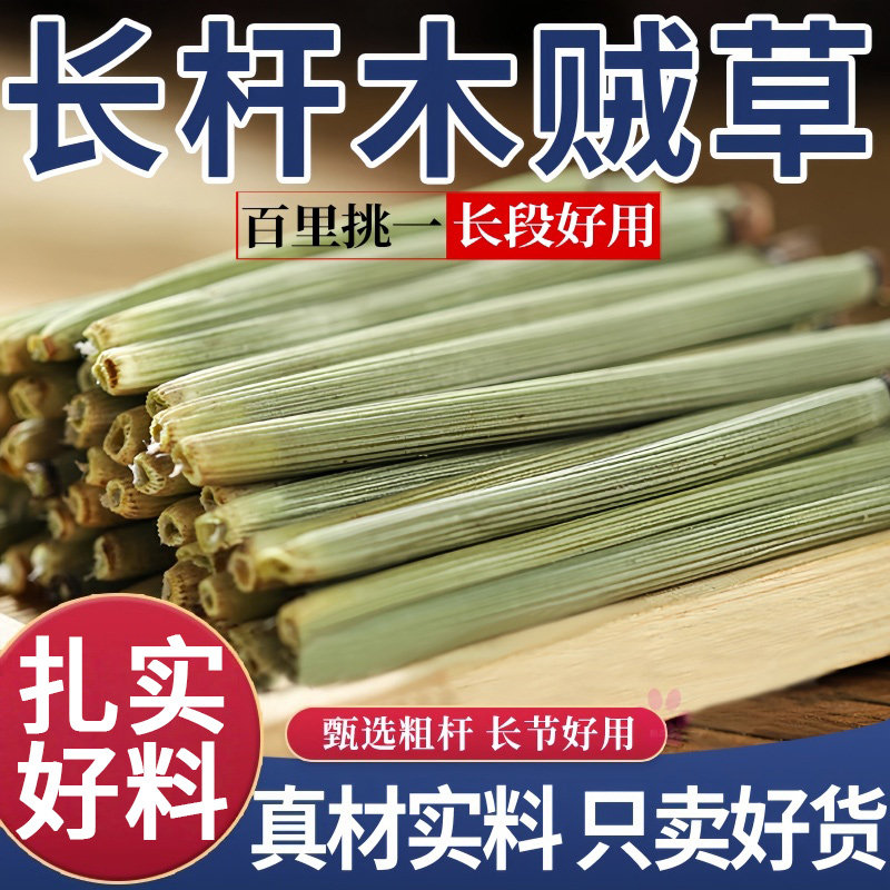 木贼草长节节草擦牙正品木贼千峰草锉草笔头草笔筒草节骨长段新货