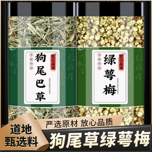 狗尾巴草绿萼梅中药材正品煮水喝新鲜狗尾巴草干花绿萼梅干花泡茶