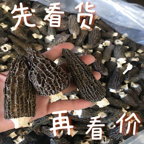 云南高原羊肚菌干货羊肚菇野生菌