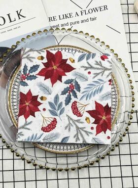 10/20pcs/Pac Colourful Printed Napk 2 Ply Featured Christmas
