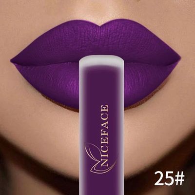 Matte Liquid Lipstick Waterproof Long Lasting Lip Gloss Tint