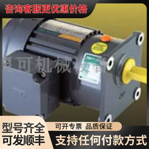 ZS100-S ZD400-S ZDMOTOR电机马达ZD200-S ZD750-S ZD1500-S