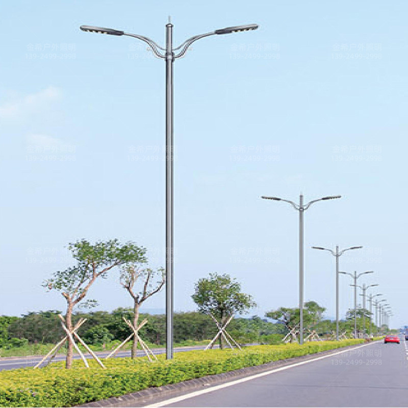 户外玉兰灯亮化路灯大型广场中华灯庭院灯道路景观灯高杆路灯定制