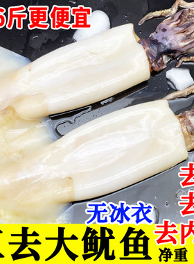 大鱿鱼新鲜去皮去牙去内脏包顺丰