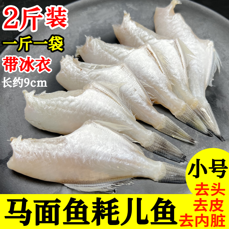 耗儿鱼剥皮鱼去头去皮去内脏新鲜海鱼小号马面鱼玻璃鱼火锅食材