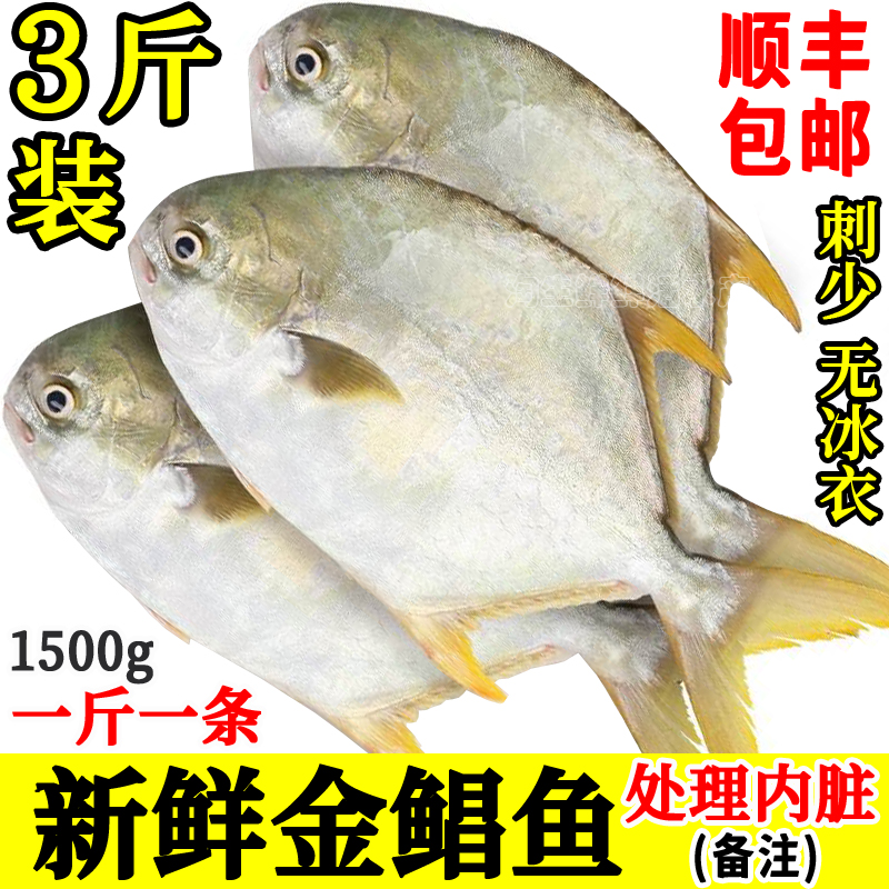 3斤鲜金鲳鱼鲜鱼无冰衣刺少包邮