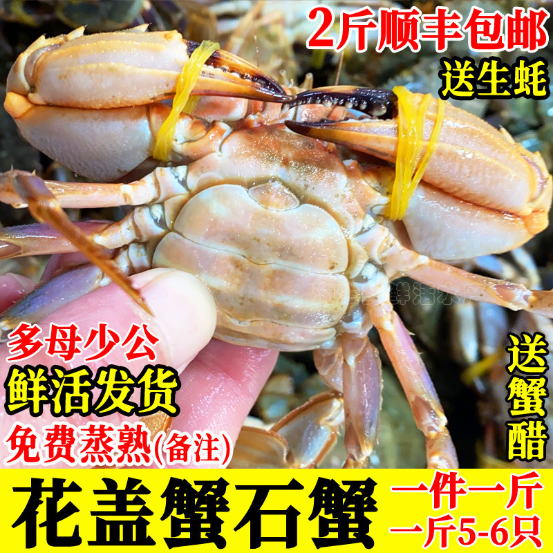 连云港鲜活花盖蟹石蟹海螃蟹花蟹海鲜水产公蟹母蟹顺丰一斤5-6只