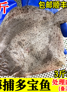 3斤3条新鲜多宝鱼鲜活速冻比目鱼鲽鱼海鱼单冻水产无冰刺少包顺丰