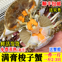 满膏母蟹连云港野生梭子蟹鲜活满黄蟹红膏海螃蟹一斤2-3只包顺丰