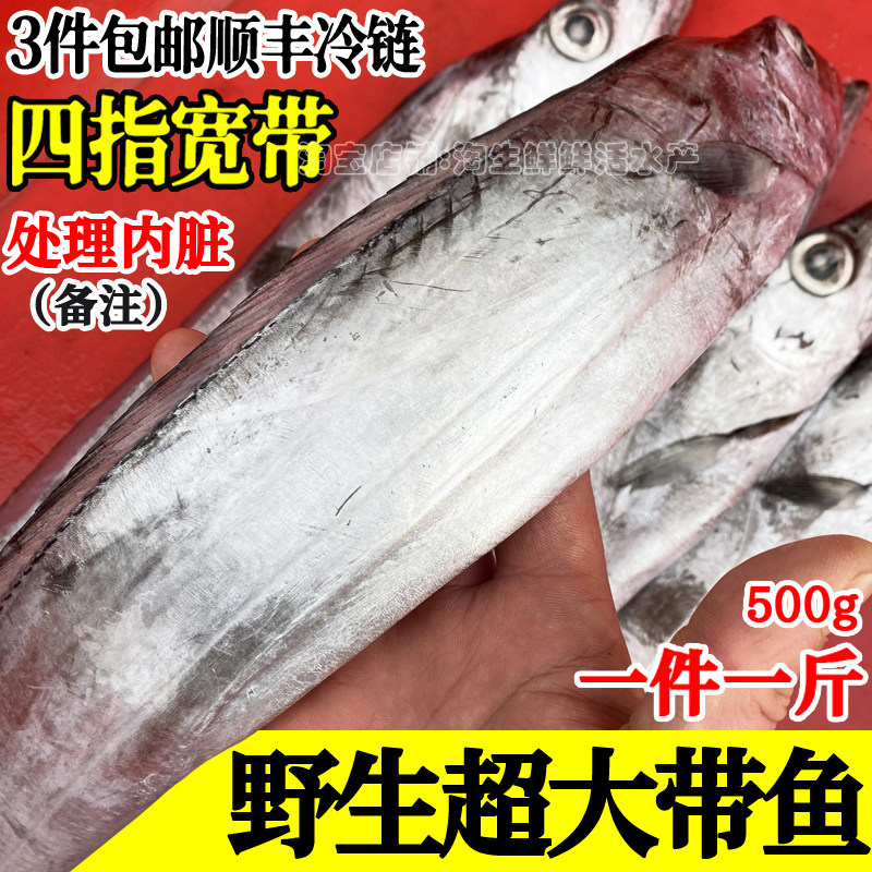 四指大宽带鱼海捕新鲜冷冻鲜鱼海鱼特大海刀鱼鞭鱼顺丰一斤