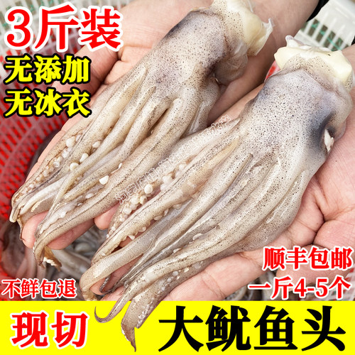2斤新鲜鱿鱼头现切鱿鱼爪须