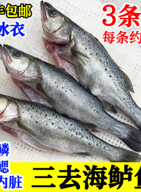 深海七星鲈鱼新鲜去鳞去鳃去内脏