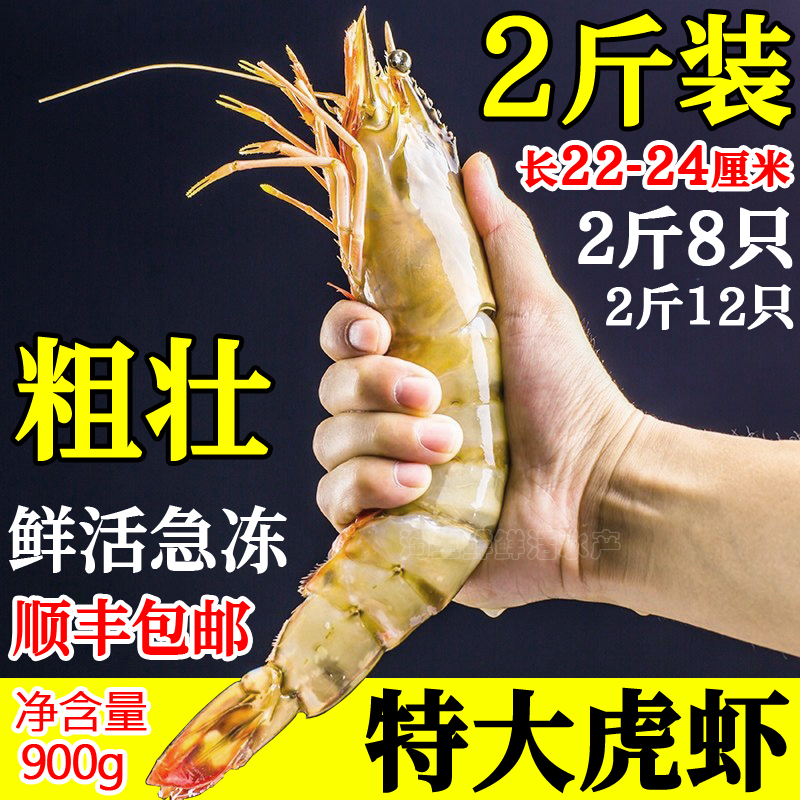 2斤黑虎虾鲜活超大斑节虾竹节虾
