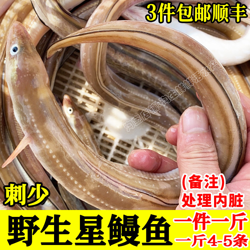 海捕海鳗鱼星鳗新鲜海鱼鲜鱼速冻海鲜生鲜刺少无冰顺丰一斤4-5条