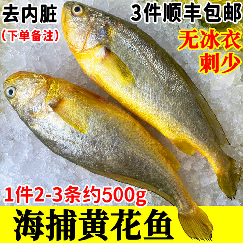 一斤2-3条黄花鱼新鲜海捕大黄鱼海鲜鲜活海鱼鲜鱼速冻生鲜顺丰 - 封面