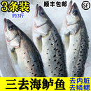 3条装 海鲈鱼已去内脏新鲜冷冻大鲈鱼鲜活冰冻海鱼活体现杀约3斤