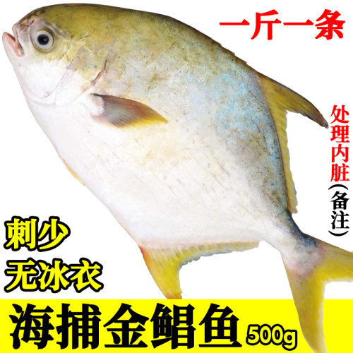 新鲜金鲳鱼鲳片鱼无冰衣肉多刺少