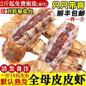 全母皮皮虾鲜活全膏带籽虾爬子即食濑尿虾海鲜水产有活发水煮椒盐