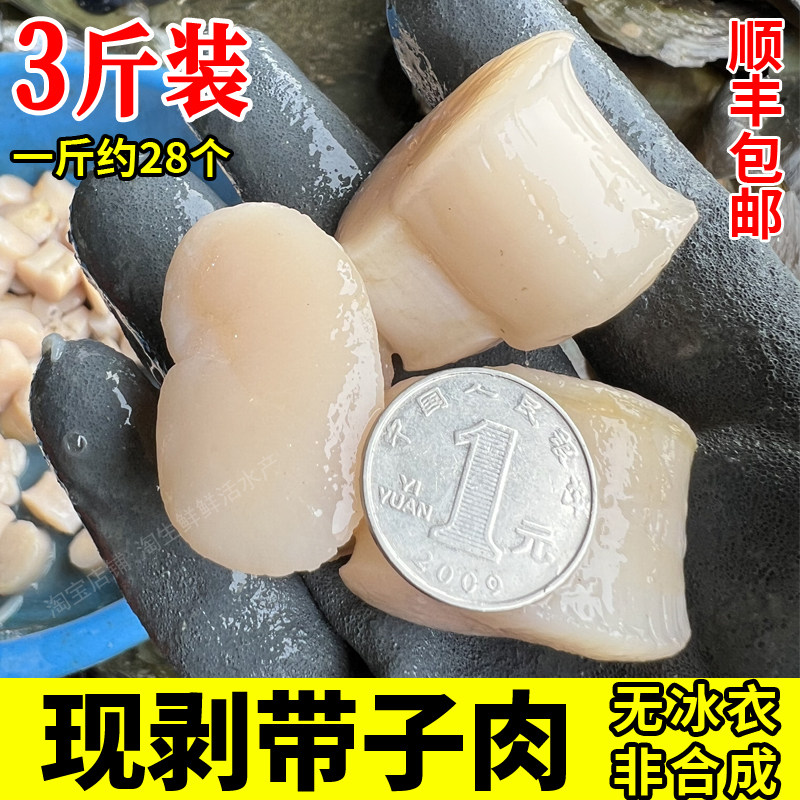 3斤装带子肉鲜活现剥瑶柱特大野生冷冻新鲜贝柱生鲜水产海鲜刺身