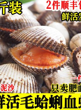 毛蛤鲜活海贝类血蛤海鲜蛤蜊2斤