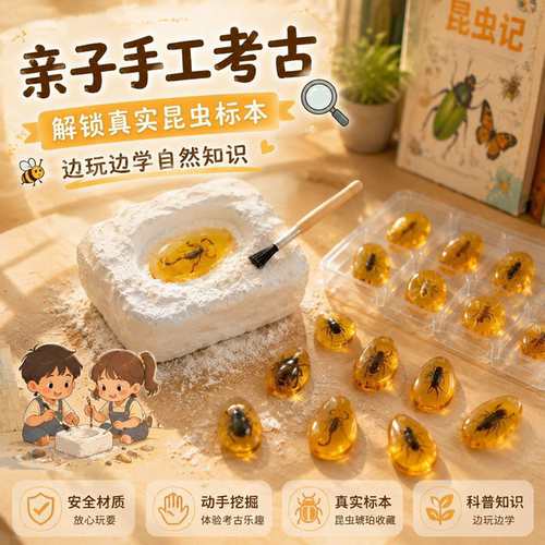 动手挖掘琥珀昆虫真实小标本玩具