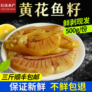 新鲜黄花鱼鱼籽鲜鱼籽包邮冷冻水产鲜活海鱼籽大黄鱼籽鲜深海鱼籽