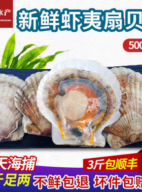 野生夏威夷贝大鲜活夏夷贝包邮超大扇贝海鲜贝类水产新鲜虾夷扇贝