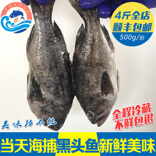 青岛海捕黑头鱼鲜活海鱼顺丰包邮新鲜海鲜冷冻水产深海鱼类猪嘴鱼