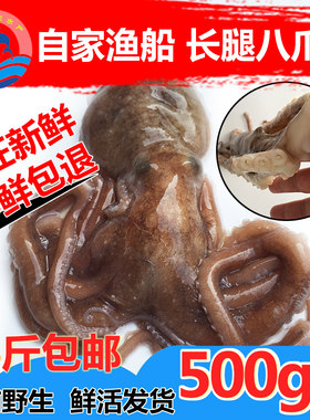 鲜活野生长腿八爪鱼包邮