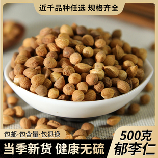 正品新货郁李仁500g 中药材郁李仁粉新货另售桑叶郁李仁茶莱菔子