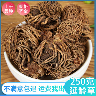 中药材延龄草250克头顶一颗珠秦岭 芋儿七 狮儿七 头顶珠非500克