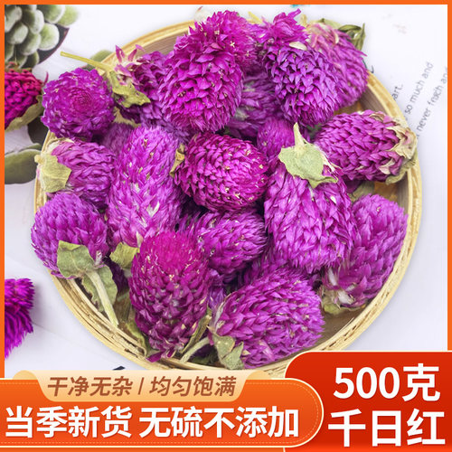 千日红干花500g散装正品