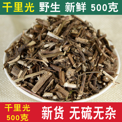 野生千里光500克千里明草