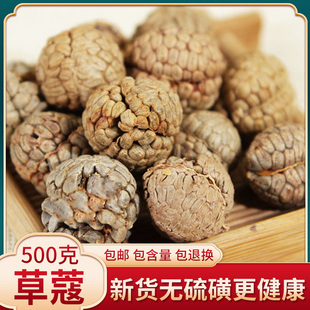 中药材 香料调料 草蔻500克 草寇仁草扣老豆蔻飞雷子火锅底料