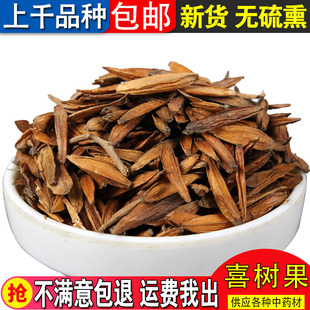 精选中药材 无硫新货喜树果 千丈树 水栗子 天梓树 500克包邮