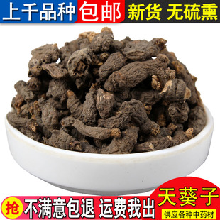 中药材 子 紫背 天葵子  500克食用农产品