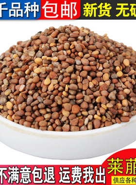 精选中药材 莱菔子 白籽 萝卜子 萝白子 菜头子 500克 包邮