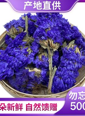 勿忘我500克中药材野生天然色素