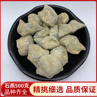 石燕500克中药材石燕 新货燕石子 燕子石水飞石燕另有磁石 灶心土