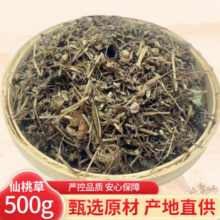 中药材天然无硫 仙桃草500克 蚊母草 接骨仙桃草八卦仙桃